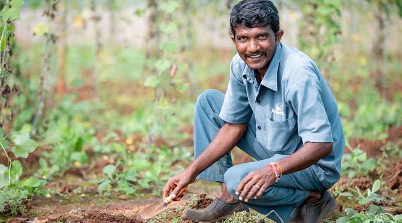 Promotion of Natural Farming Practices
