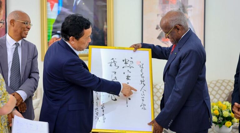 In Djibouti, Director-general Meets Senior Officials And Visits Key Agrifood Development Sites