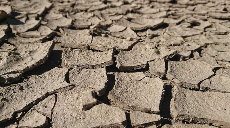 World Soil Day 2025: The World Is Moving in the Right Direction but at the Wrong Speed