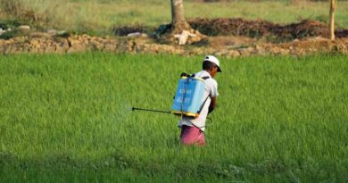 Government Of India Invites Public Comments on Draft Pesticides Management Bill, 2025 Government Of India Invites Public Comments on Draft Pesticides Management Bill, 2025