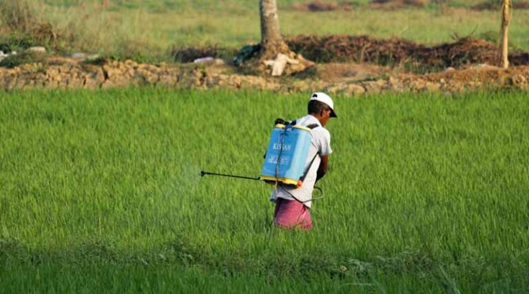 Government Of India Invites Public Comments on Draft Pesticides Management Bill, 2025