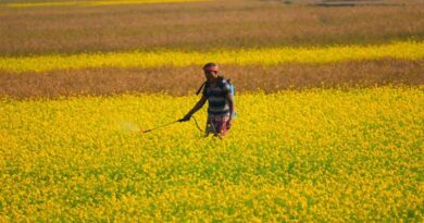 Indian Farmers Aren’t Cutting Back, They’re Prioritising Crop Protection Differently: Rajavelu NK, Godrej Agrovet