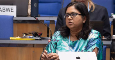 Making Adaptation Measurable: CGIAR, the Global Goal on Adaptation, and the COP30 Outcome