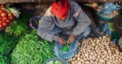 Policy Entry Points For Healthier Diets In India Policy Entry Points For Healthier Diets In India