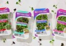USA: 80 Acres Farms Expands Microgreens Nationwide