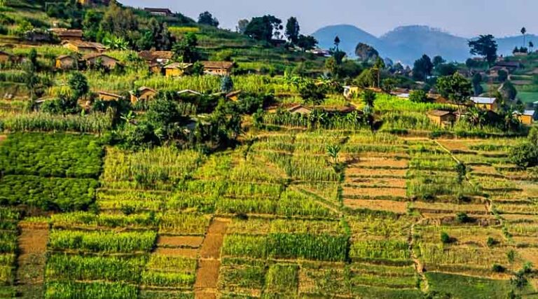 Integrated Partnership Board Chair Elected