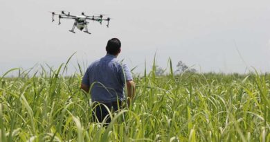 Brazil 2025 Pesticide Approvals: Company-wise List with Brand Name, Product and Type Brazil 2025 Pesticide Approvals: Company-wise List with Brand Name, Product and Type