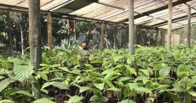 Before We Lose Them: Securing the Future of Coffee and Cacao at CATIE
