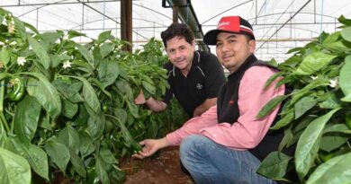 Virginia Veggie Growers Turn The Tables On Disease