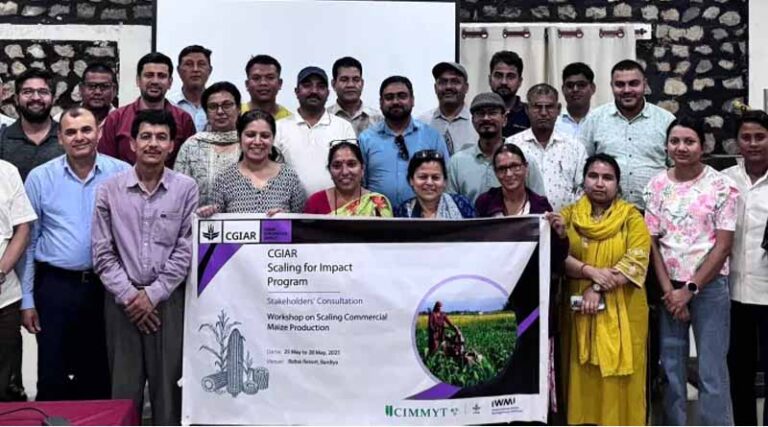 GoN Scales CIMMYT’s Commercial Maize Model in Nepal