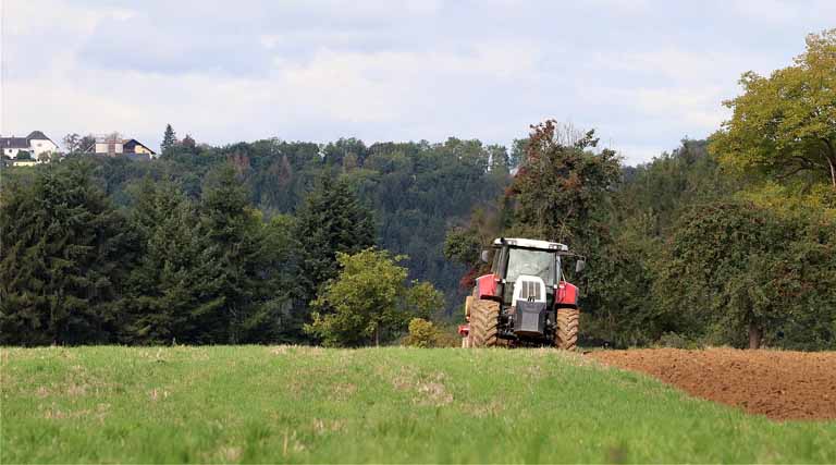 Youth Are The Biggest Strength For The Progress Of The Nation And State: Shyam Singh Rana