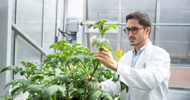 Phytoform Labs Secures Golden Ticket to NC State’s Seed2Grow Ag Tech Incubator Phytoform Labs Secures Golden Ticket to NC State’s Seed2Grow Ag Tech Incubator