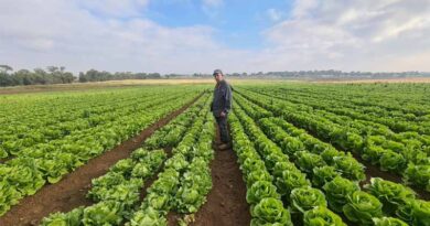 Meet The People Behind The Crops – Heritage Edition: Adi Kadmon