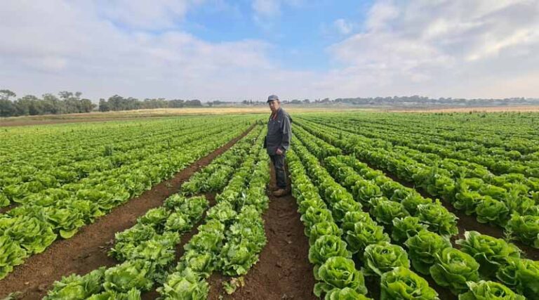 Meet The People Behind The Crops – Heritage Edition: Adi Kadmon