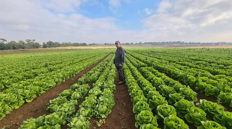 Meet The People Behind The Crops – Heritage Edition: Adi Kadmon