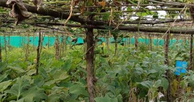 Multifunctional Landscapes for Agroecological Transition and Climate Resilience Multifunctional Landscapes for Agroecological Transition and Climate Resilience