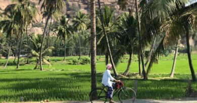 India’s Record Fertiliser Availability, Yet Farmers Queued for Days: What Went Wrong?