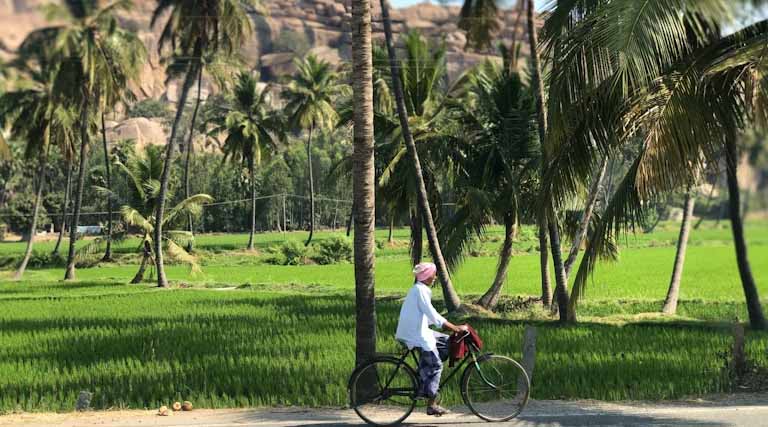 India’s Record Fertiliser Availability, Yet Farmers Queued for Days: What Went Wrong?