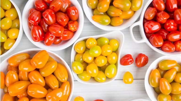 Experience The Crunch Of Snack Tomato Calchetto RZ