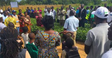 Empowering Farmers Through Community Seed Entrepreneurship In Malawi