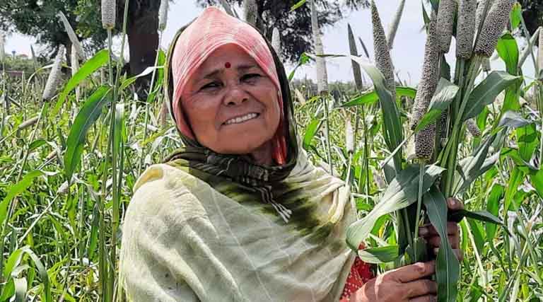 ICRISAT and Partners Announce Release of the World’s First Three-way Pearl Millet Hybrid
