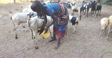 Hidden In Plain Sight: Pastoralist ‘pioneers’ Redefining Resilience