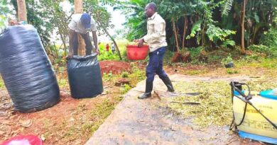 Bridging Silage Quality Gap: A Study With Smallholder Dairy Farmers