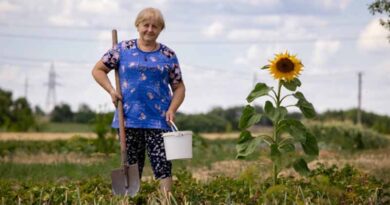 Ukraine’s Agriculture: FAO Sets Out a Three-Year Recovery Plan