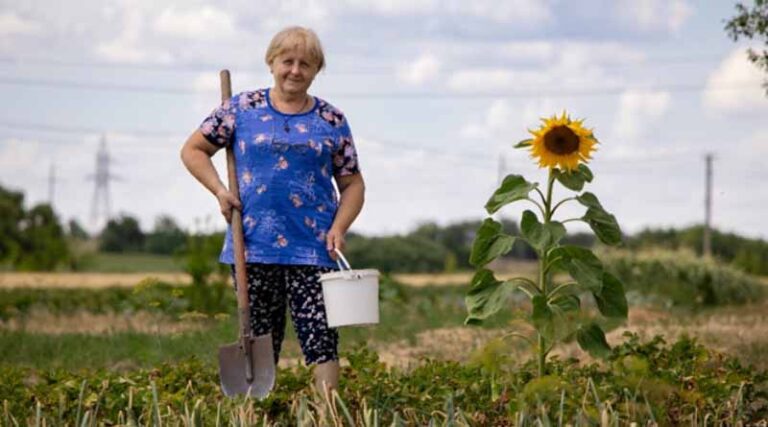 Ukraine’s Agriculture: FAO Sets Out a Three-Year Recovery Plan