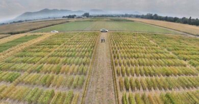 A Global Public Good: The Quiet Science Sustaining the World’s Food Supply A Global Public Good: The Quiet Science Sustaining the World’s Food Supply
