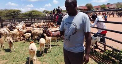 How Citizen Science Is Transforming Pastoral Resilience How Citizen Science Is Transforming Pastoral Resilience