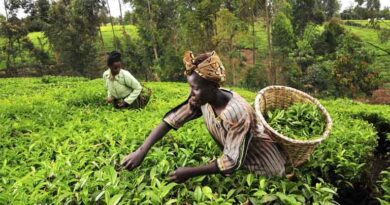 Chungnam National University Study Finds Climate Adaptation Can Ease Migration Pressures in Africa