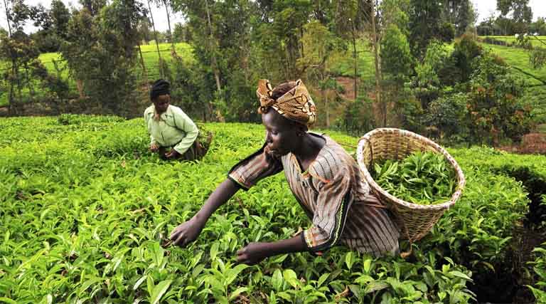 Chungnam National University Study Finds Climate Adaptation Can Ease Migration Pressures in Africa