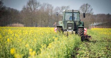 India to Present Diverse Agri-Food Ecosystem Through 161 Exhibitors at Gulfood 2026
