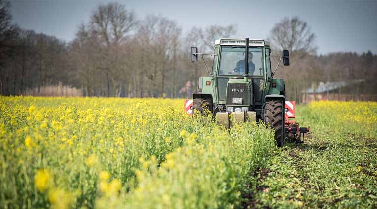 India to Present Diverse Agri-Food Ecosystem Through 161 Exhibitors at Gulfood 2026