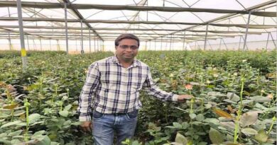 From Corporate Engineer to Floriculture Entrepreneur: Madhya Pradesh Farmer Earns ₹1.5 Million Annually Growing Roses From Corporate Engineer to Floriculture Entrepreneur: Madhya Pradesh Farmer Earns ₹1.5 Million Annually Growing Roses