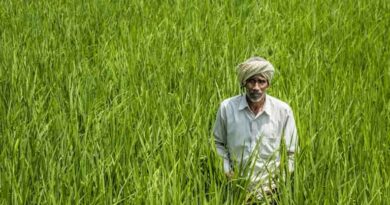 Centre Clears Tur Procurement in Maharashtra, ₹2,696 Crore MSP Outlay Centre Clears Tur Procurement in Maharashtra, ₹2,696 Crore MSP Outlay