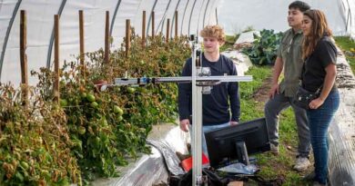 Small “Superhero” Robots to Transform Labour-Intensive Vegetable Farming Small “Superhero” Robots to Transform Labour-Intensive Vegetable Farming