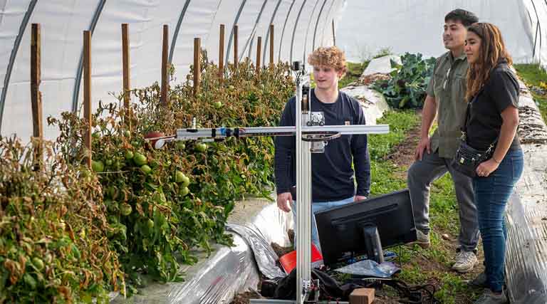 Small “Superhero” Robots to Transform Labour-Intensive Vegetable Farming