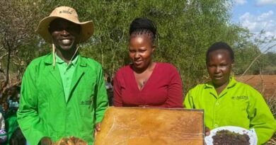 From Informal Potential to Formal Impact for Women and Youth Agripreneurs
