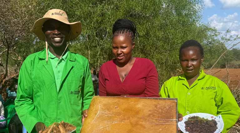 From Informal Potential to Formal Impact for Women and Youth Agripreneurs