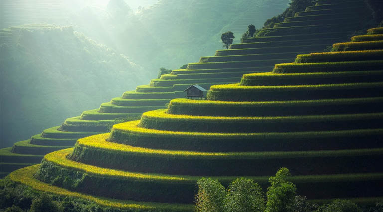 Vice Minister Zhang Zhili Meets with UK Ambassador to China