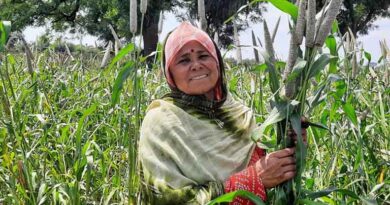 World’s First Three-way Pearl Millet Hybrid RHB 273 by ICRISAT and ICAR World’s First Three-way Pearl Millet Hybrid RHB 273 by ICRISAT and ICAR