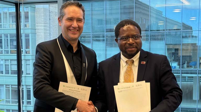 ILRI and CIMMYT sign strategic MoU to accelerate impact in crop-livestock Systems