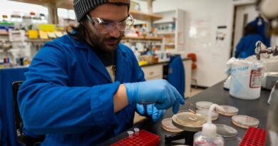 Biologists and Engineers Discover What Makes a Plant-wilting Bacteria So Deadly