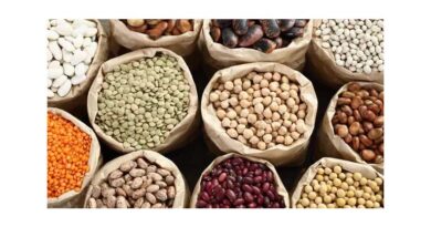 Lectins In Food: Undercooked Beans Pose Health Risk, Says EFSA