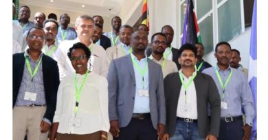 Aligning Wheat Breeding With Market Needs In Ethiopia
