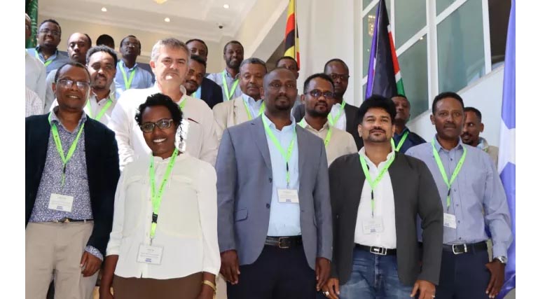 Aligning Wheat Breeding With Market Needs In Ethiopia