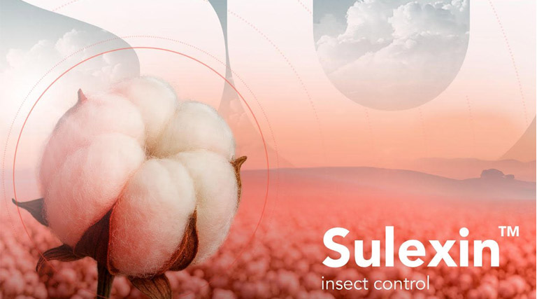 FMC Launches Sulexin™ Insect Control in Côte d’Ivoire, Achieves First Global Registration