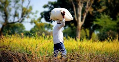 Union Budget 2026–27: FAI Calls for Targeted Reforms to Strengthen India’s Fertiliser Security